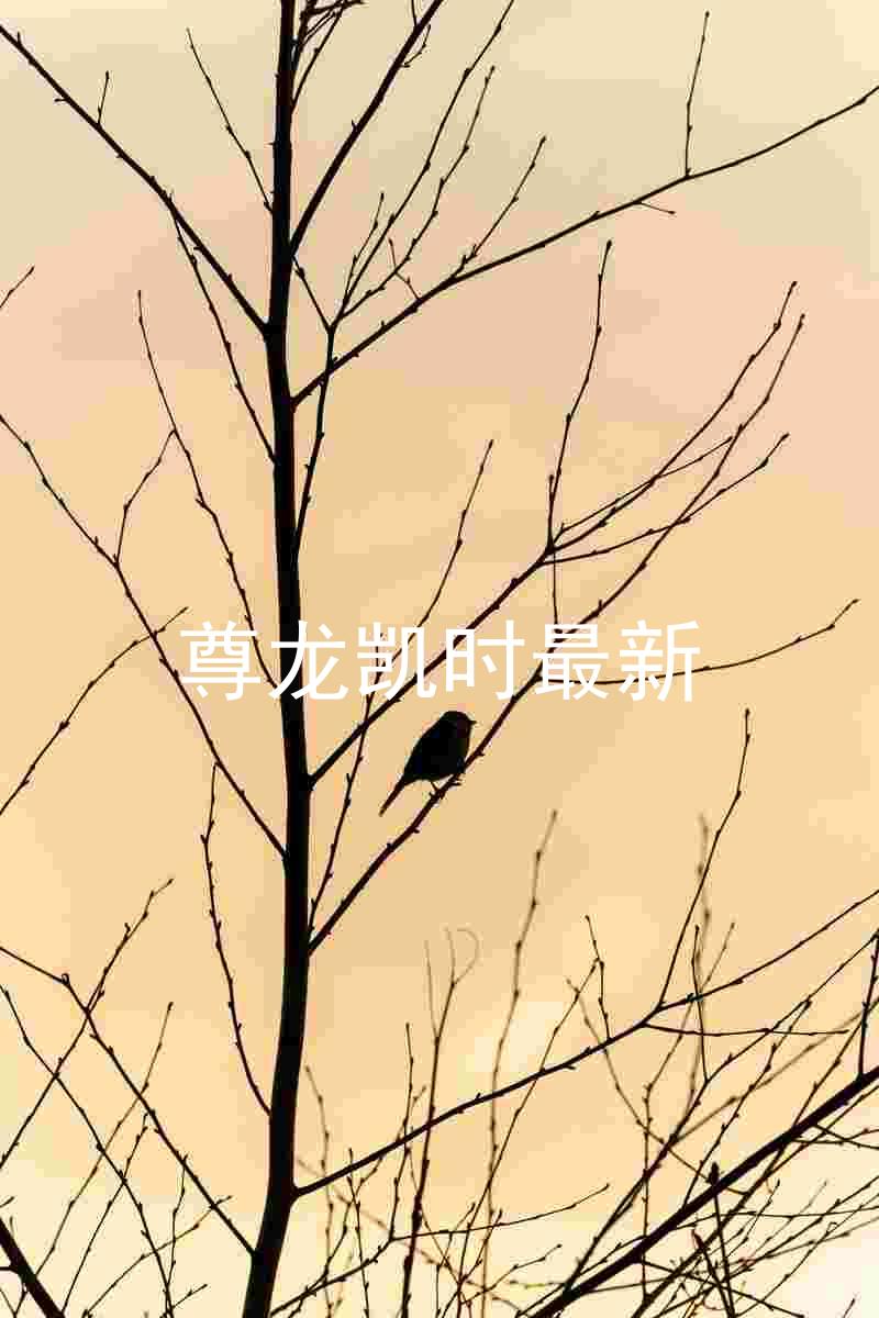 尊龙凯时最新