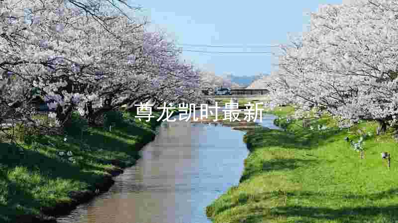 尊龙凯时最新