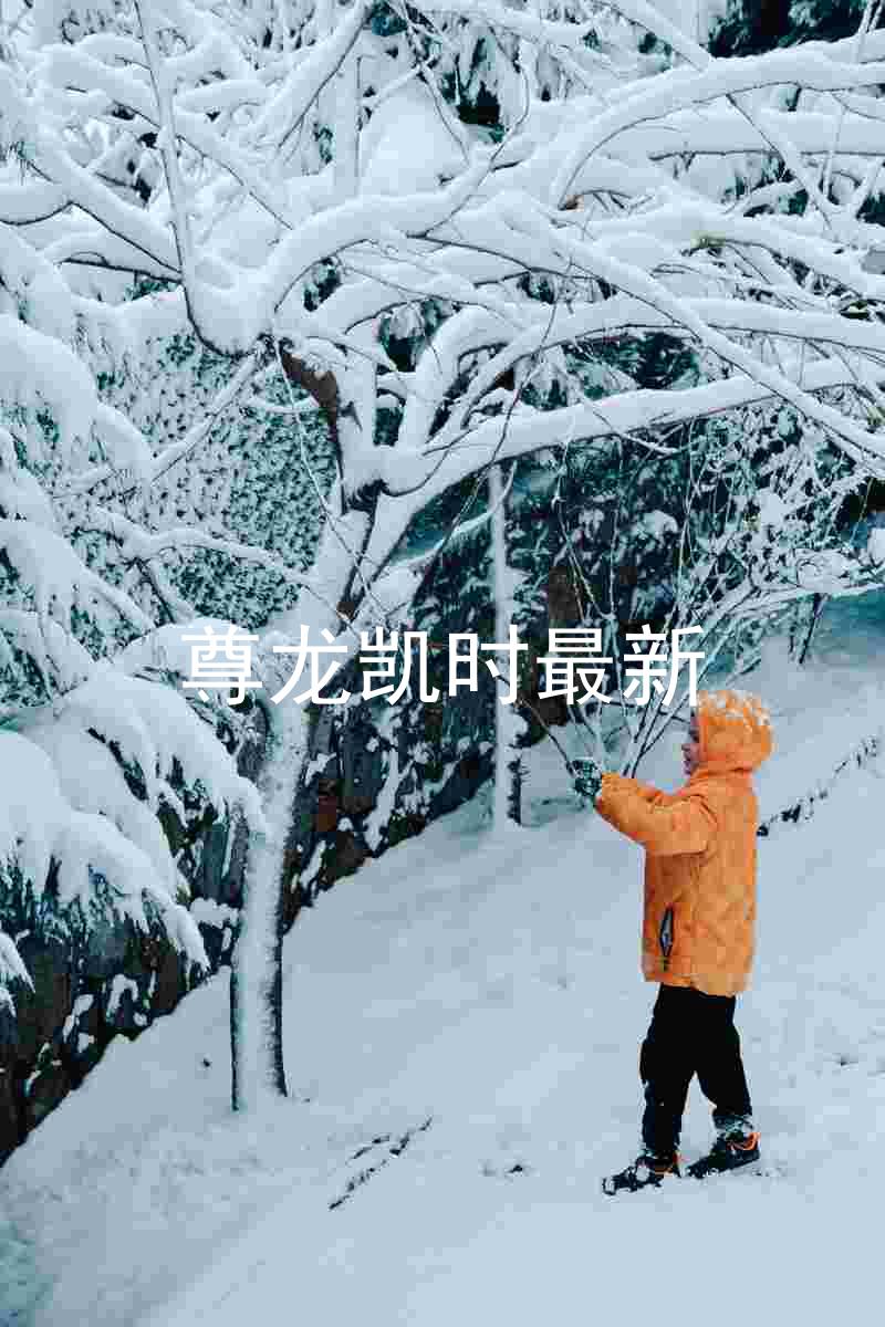 尊龙凯时最新