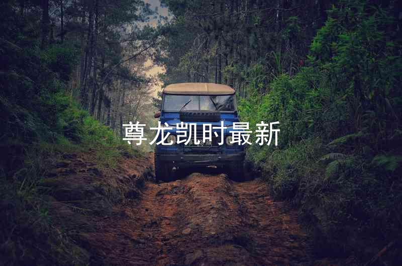 尊龙凯时最新