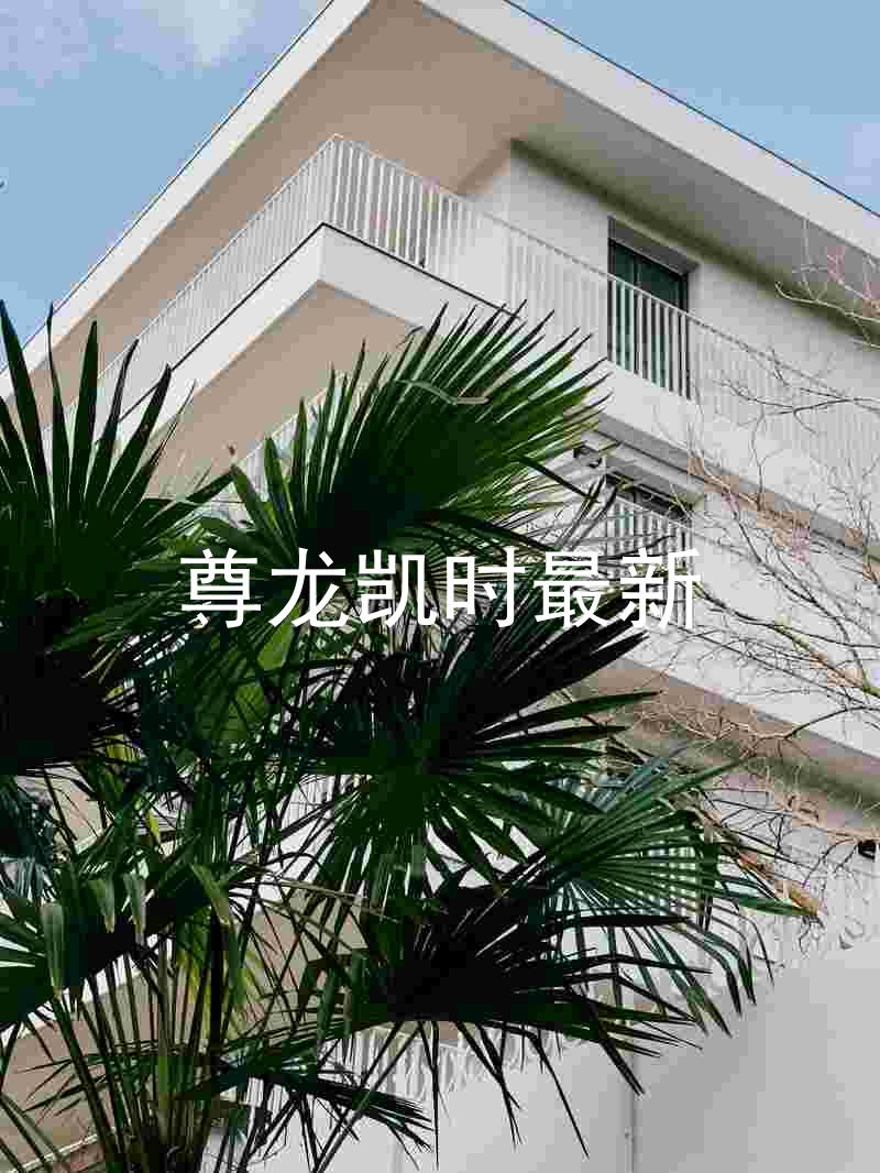 尊龙凯时最新