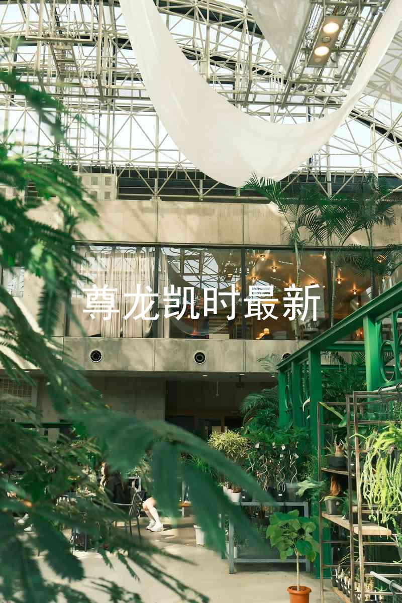 尊龙凯时最新