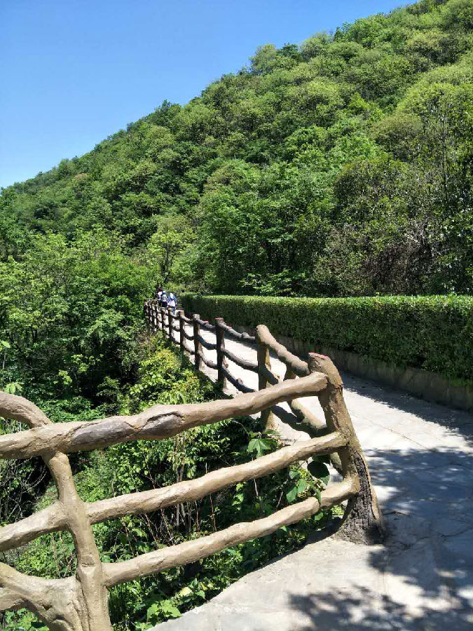 1594453192.png 14943847054546.png