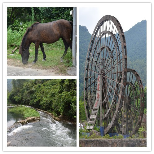 1618378632.jpg 1618378632.jpg